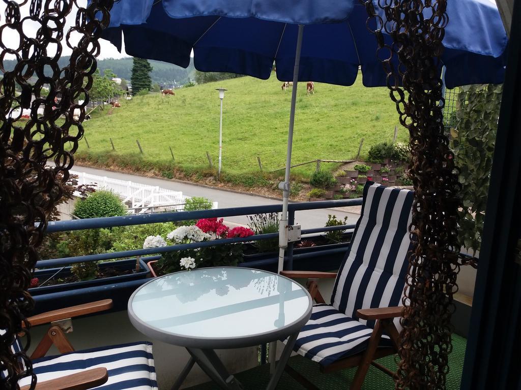 Haus Elsholz Willingen Leilighet Willingen  Eksteriør bilde