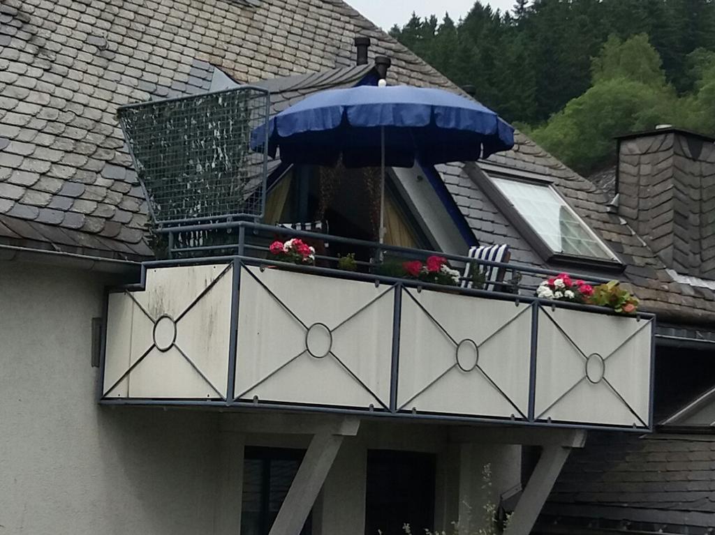 Haus Elsholz Willingen Leilighet Willingen  Eksteriør bilde